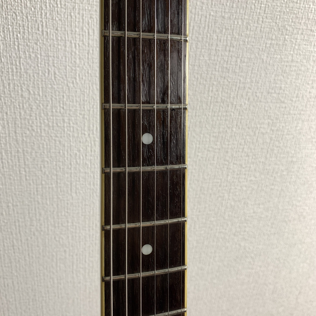 Epiphone Dot ES 339 Ebony Vibrato Semi-Hollow Electric Guitar 2016
